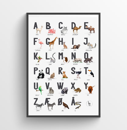 abc