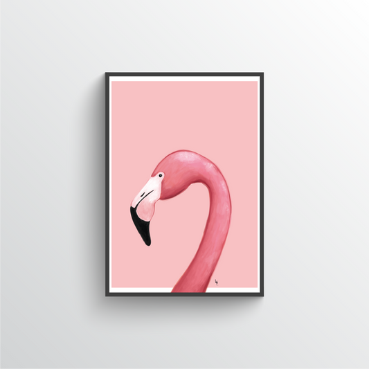 flamingo